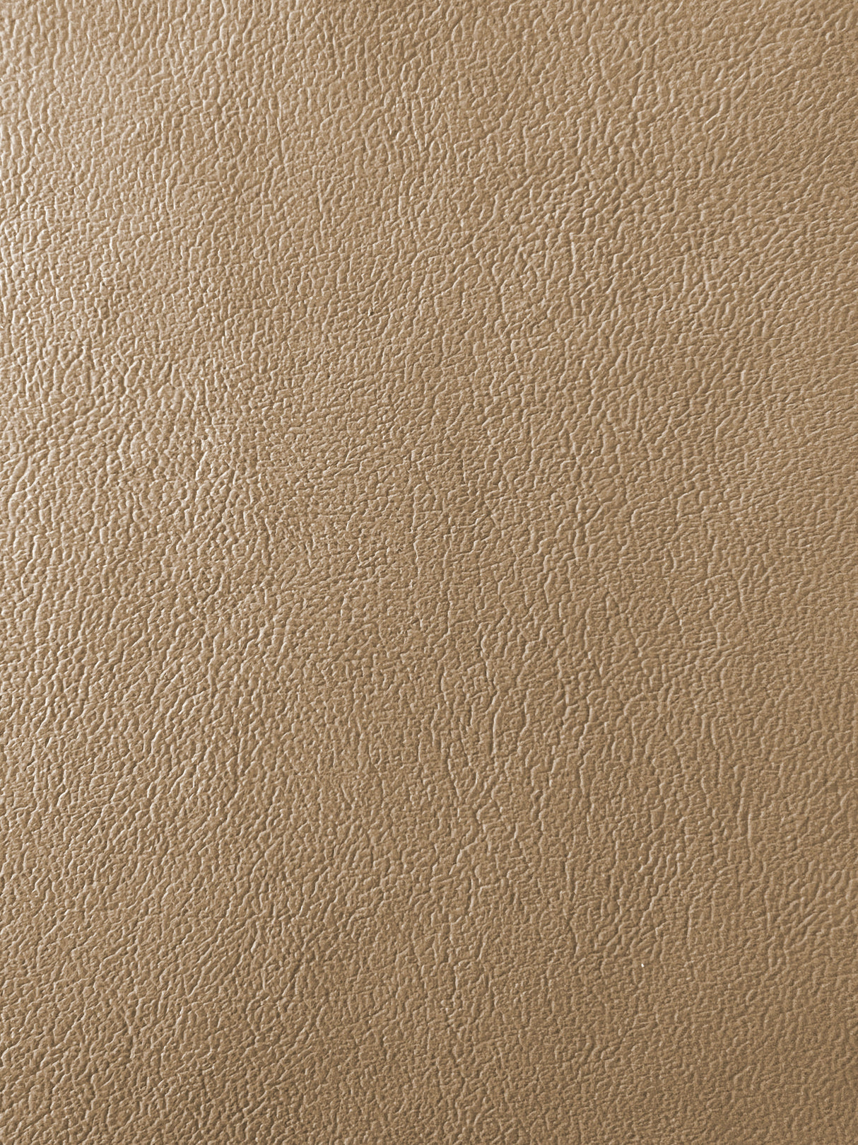 7 Hide Pack of Medium Parchment Nudo OEM Leather Ford 1999-2006 Ford F-250, F-350 Super Duty XL Work Truck ($3.99/sqft)