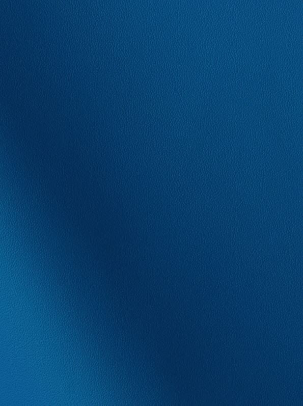 Lamborghini Automotive OEM Leather - 100sqft - $6.99 per Sqft - G 202121 Blue