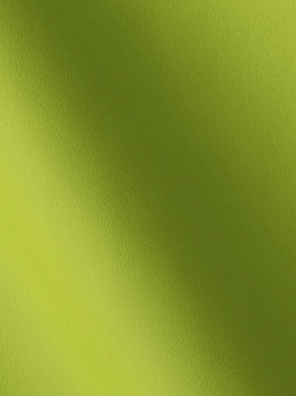 Lamborghini Automotive OEM Leather - 100sqft - $6.99 per Sqft - G 202149 Lime