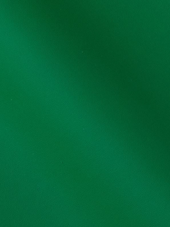 Lamborghini Automotive OEM Leather - 100sqft - $6.99 per Sqft - G 202161 Green