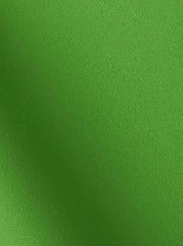 Lamborghini Automotive OEM Leather - 100sqft - $6.99 per Sqft - G 202164 Green