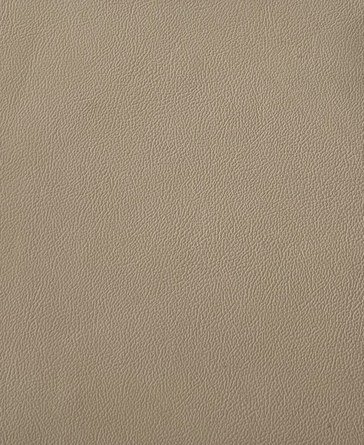 7 Hide Pack of Camel Soho Leather 2009 Ford