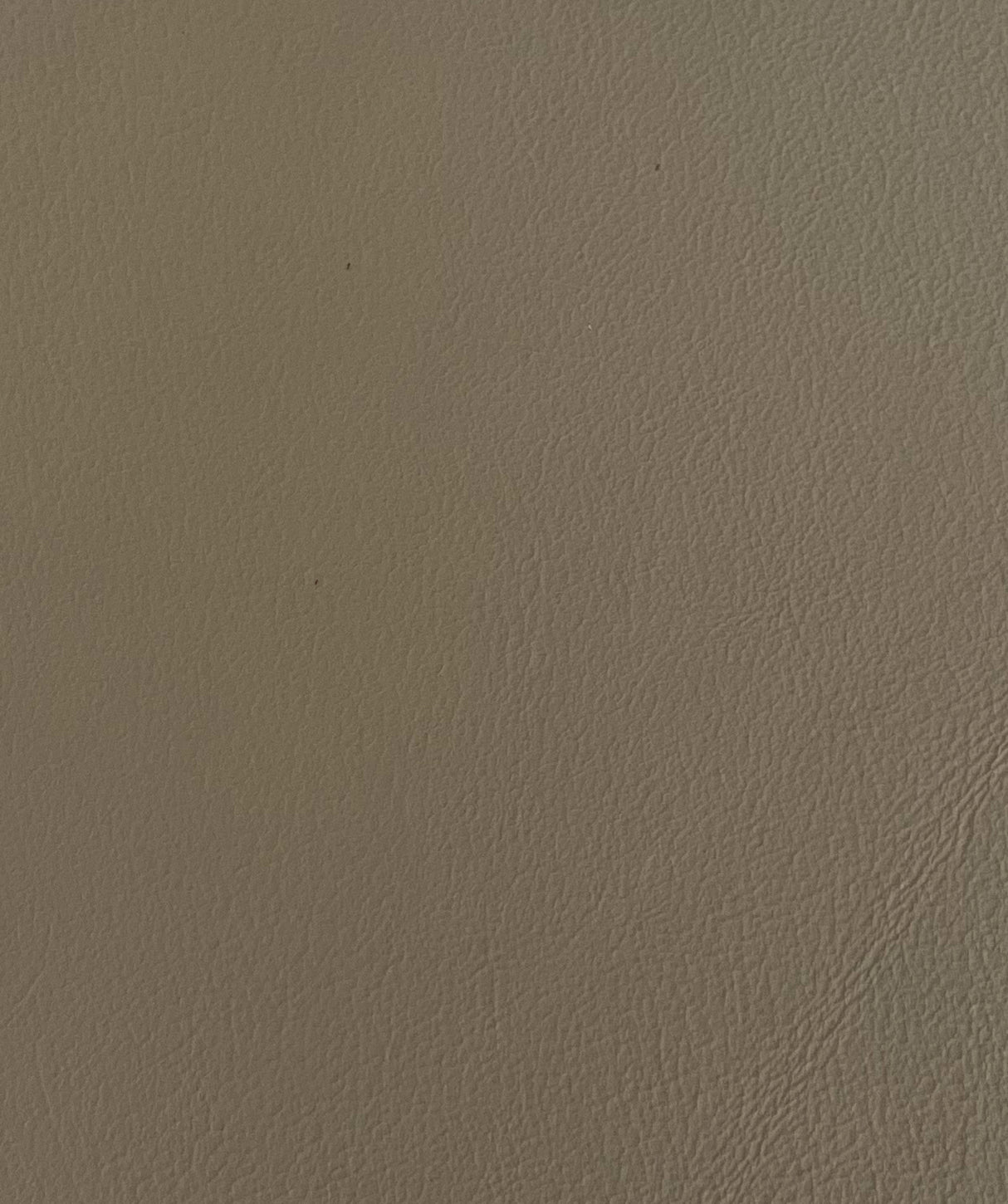 1 Hide Lt Cashmere Sandstone GM 2008 ($10.00/SqFt)