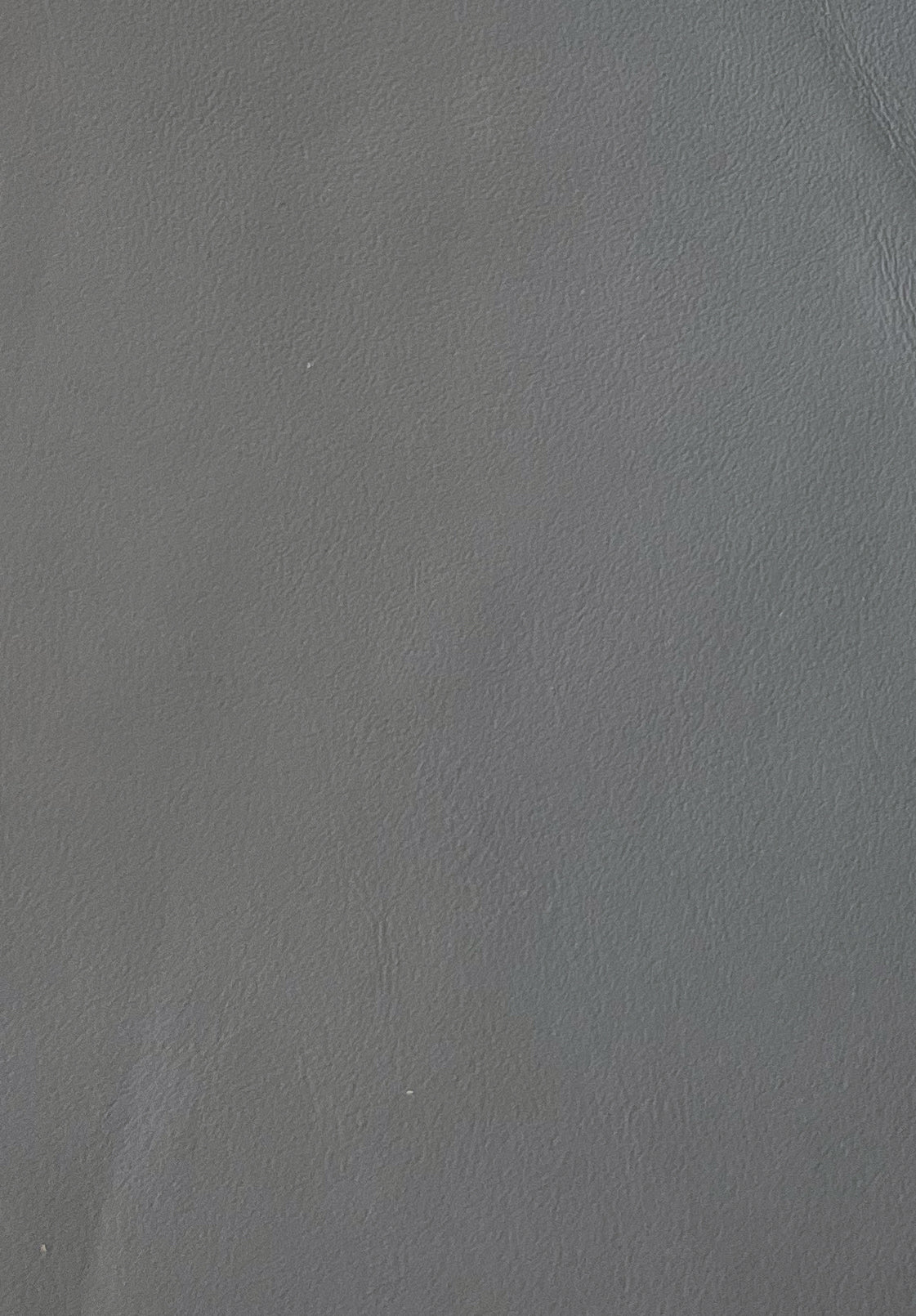 1 Hide Medium Slate Royale Chrysler 2006 ($10.00/SqFt)