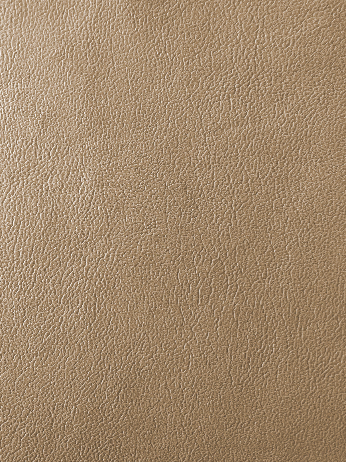 1 Hide of Medium Parchment Nudo OEM Leather Ford 1999-2006 Ford F-250, F-350 Super Duty XL Work Truck (1 Hide Pack $10.00/Sqft)