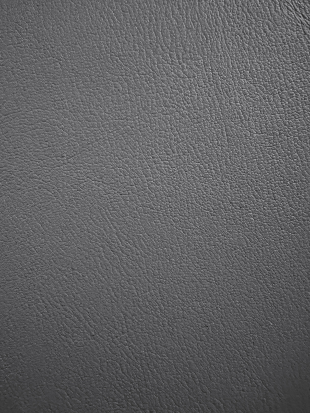 1 Hide of Medium Flint G Grain Leather Ford 1999-2002 Ford F250, F350 Super Duty XL Work Truck ($10.00/Sqft)