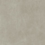 Silver Lining  Gray- Highline Transitional Two Tone Collection - Whole Hide Upholster Leather ($7.00/SqFt)