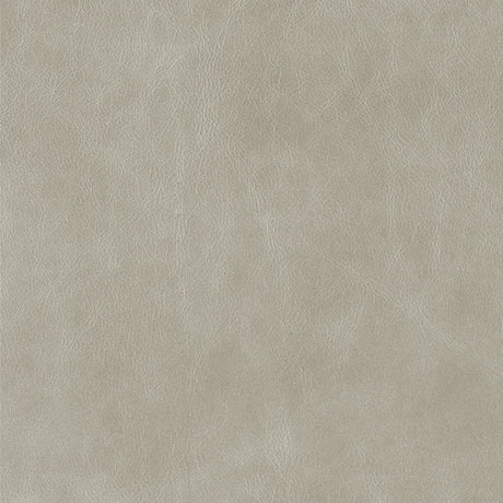Silver Lining - Highline Transitional Two Tone Collection - Whole Hide Upholster Leather ($7.00/SqFt)