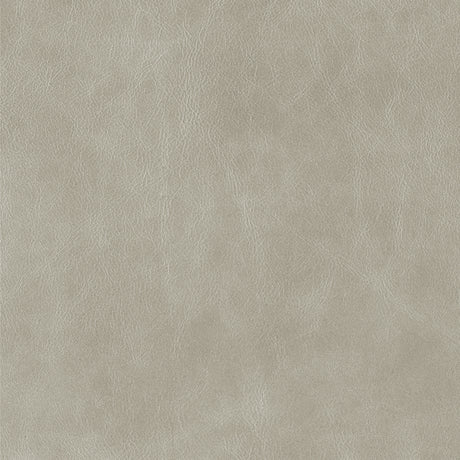 Silver Lining  Gray- Highline Transitional Two Tone Collection - Whole Hide Upholster Leather ($7.00/SqFt)