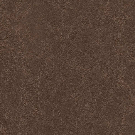 Corky Brown - Highline Transitional Two Tone Collection - Whole Hide Furniture Leather ($5.00/SqFt)