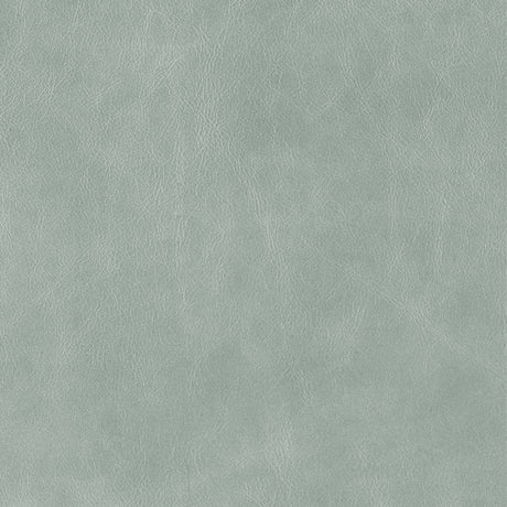 Icy Green - Highline Transitional Two Tone Collection - Whole Hide Furniture Leather ($5.00/SqFt)