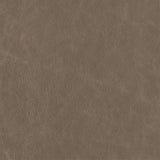 Smokey Beige - Highline Transitional Two Tone Collection - Whole Hide Furniture Leather ($5.00/SqFt)