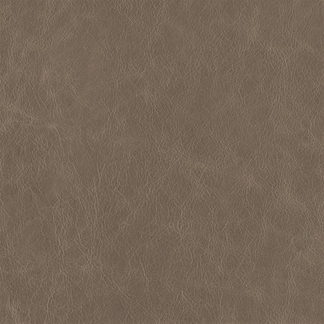 Smokey Beige - Highline Transitional Two Tone Collection - Whole Hide Furniture Leather ($7.00/SqFt)