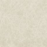 Porcelain White - Highline Transitional Two Tone Collection - Whole Hide Upholstery Leather ($7.00/SqFt)