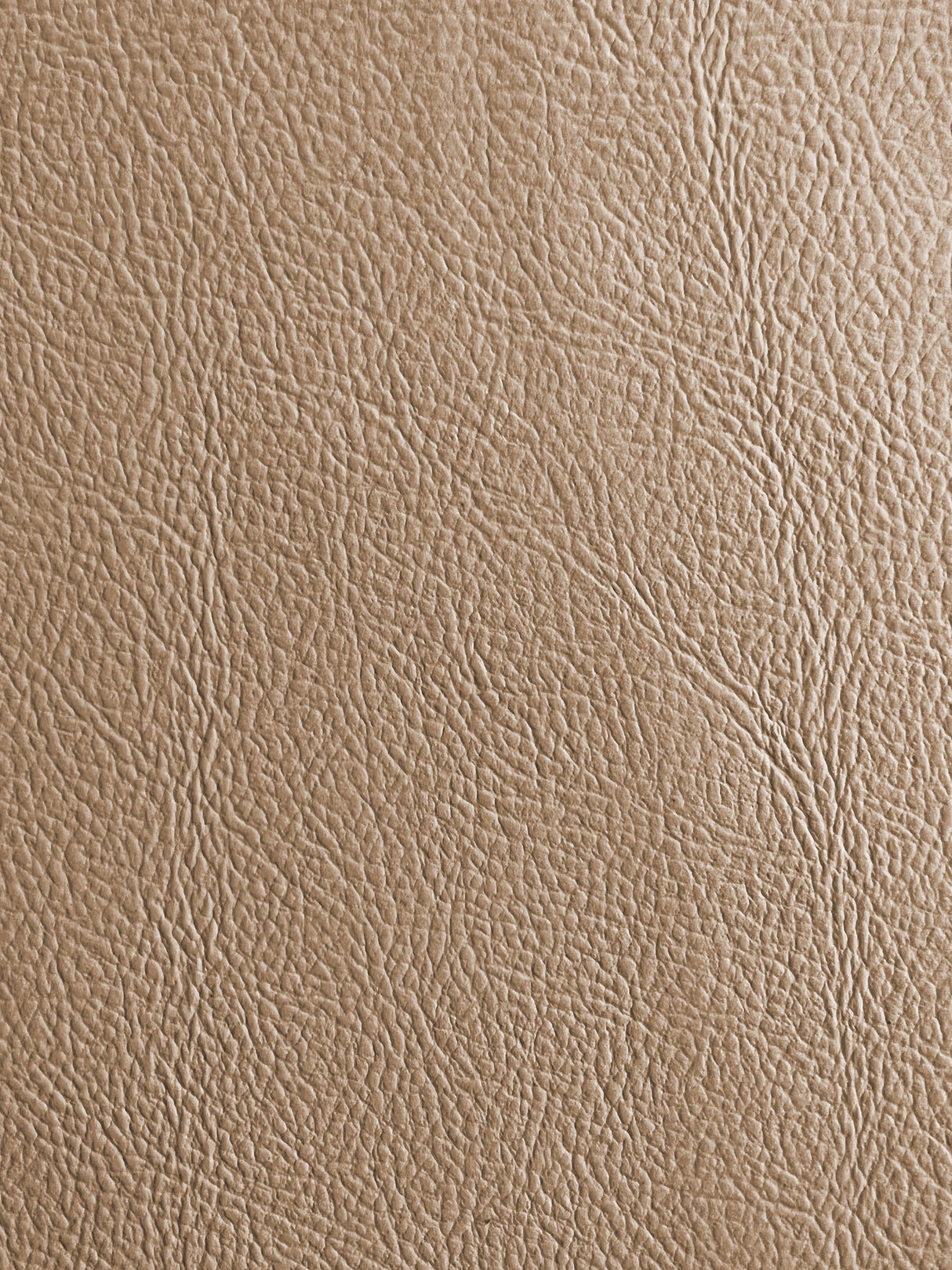 7 Hide Pack of Adobe Tan (Beige) in Milled Pebble Texture - Original Factory Leather Matches Ford F150 XTR
