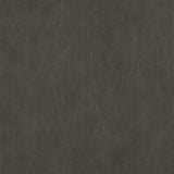 Dark Gray - Highline Transitional Two Tone Collection - Whole Hide Upholstery Leather ($7.00/SqFt)