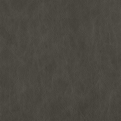 Dark Gray - Highline Transitional Two Tone Collection - Whole Hide Upholstery Leather ($7.00/SqFt)