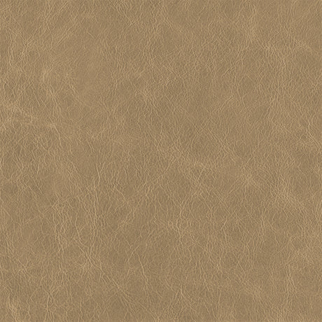 Oak Beige - Highline Transitional Two Tone Collection - Whole Hide Upholstery Leather ($7.00/SqFt)