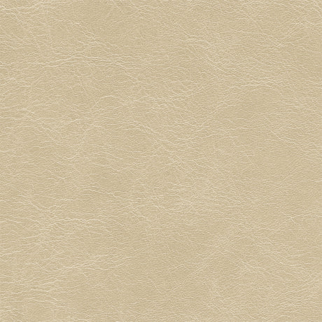 Natural Beige - Highline Transitional Two Tone Collection - Whole Hide Furniture Leather ($7.00/SqFt)
