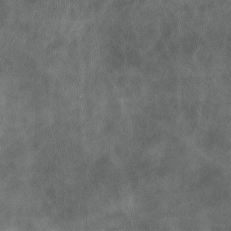 Cloudy Gray - Highline Transitional Two Tone Collection - Whole Hide Furniture Leather ($7.00/SqFt)