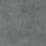 Cloudy Gray - Highline Transitional Two Tone Collection - Whole Hide Furniture Leather ($7.00/SqFt)