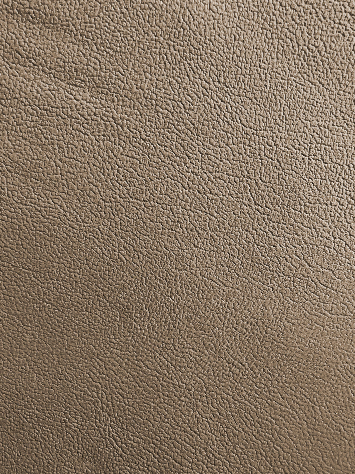 1 Hide of Medium Neutral (Grey) Sandstone (Corinthian) OEM Leather GM 99-02 Chevy Silverado ($6.99/ sq ft)