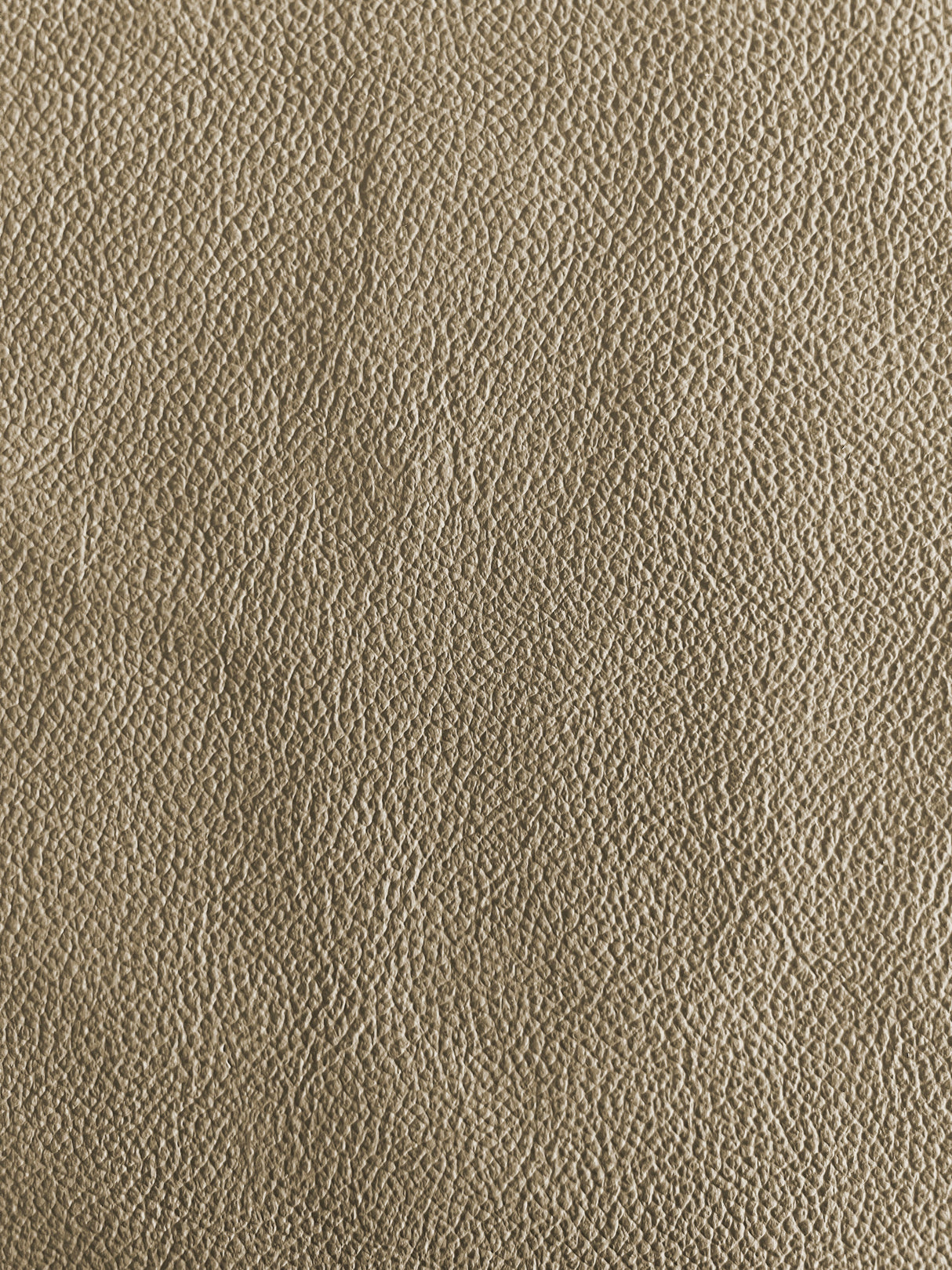 7 Hide Pack of Frost Beige Meridian Original Factory Leather Match Jeep Grand Cherokee