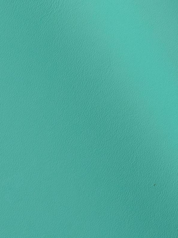 Lamborghini Automotive OEM Leather - 100sqft - $6.99 per Sqft - G 202132 Turquoise