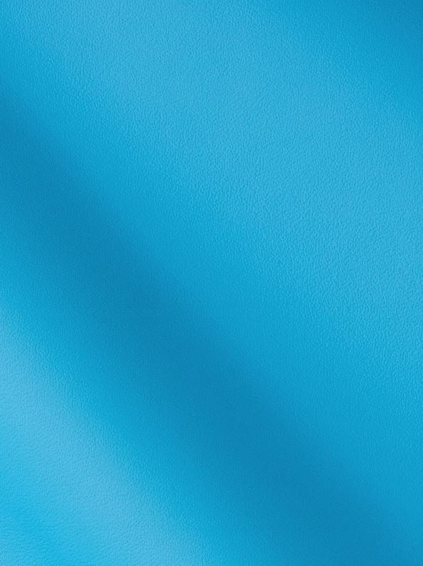 Lamborghini Automotive OEM Leather  - 100sqft - $6.99 per Sqft - G 202156 Blue