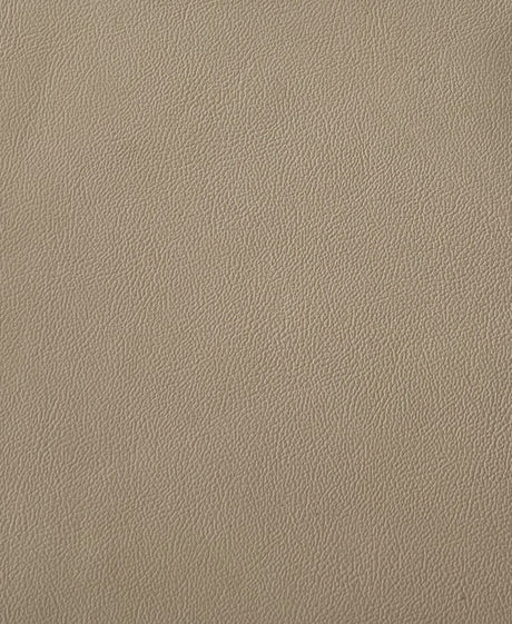 7 Hide Pack of Camel Soho Leather 2009 Ford
