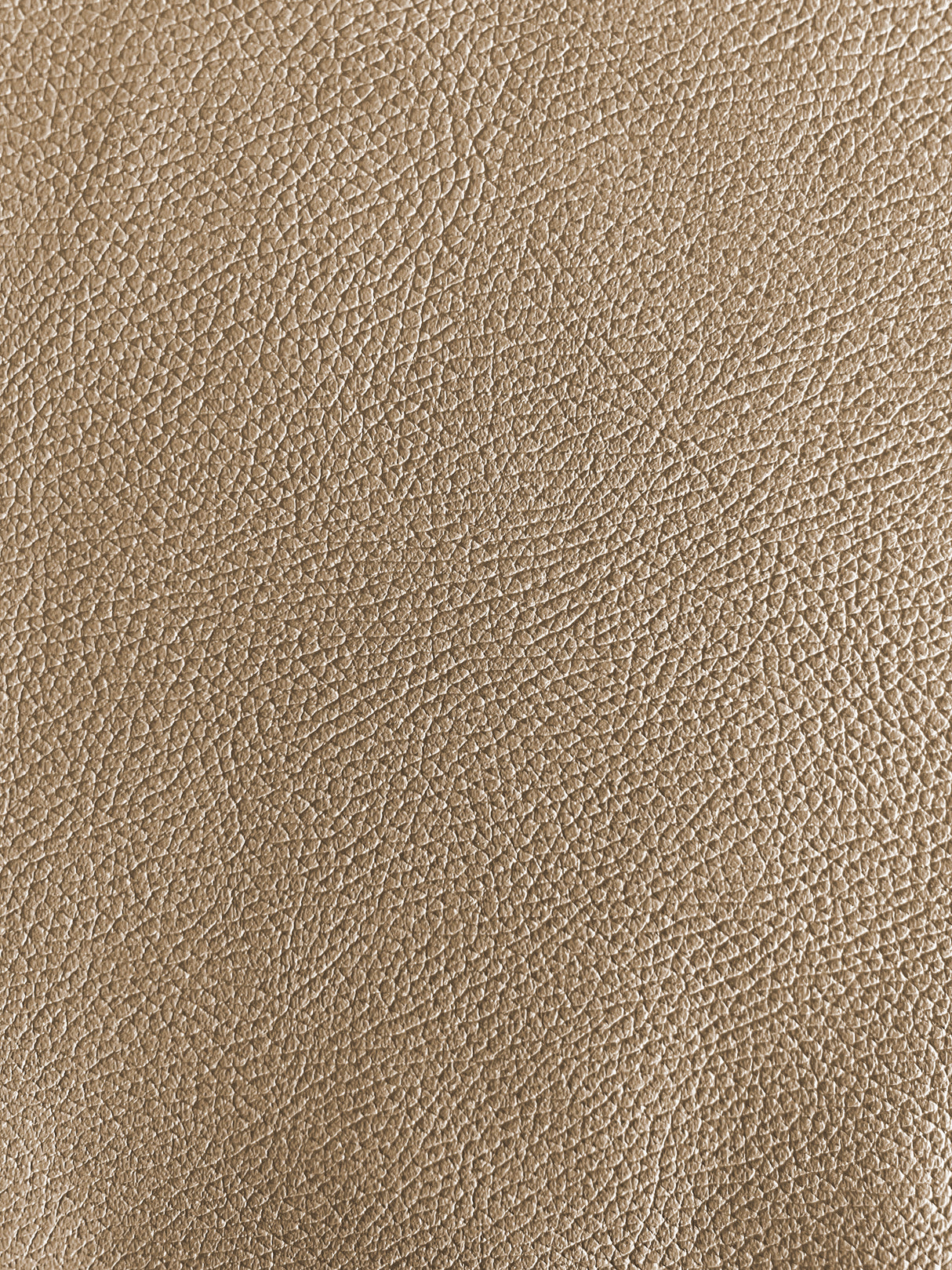 1 Hide of Camel (Beige) Verona Original Factory Leather 2015-2020 Ford F-150 XLT($6.99/Sqft)