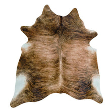 Load image into Gallery viewer, Exotic Brown Cow Hair Rug
