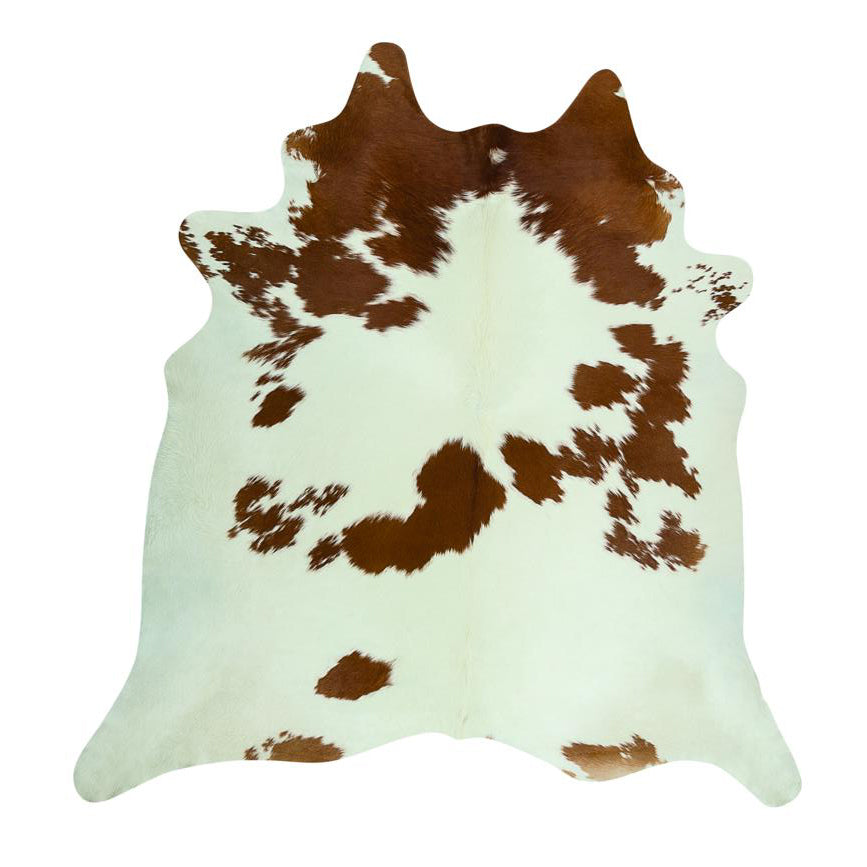 Milky Cow Whitish Brown