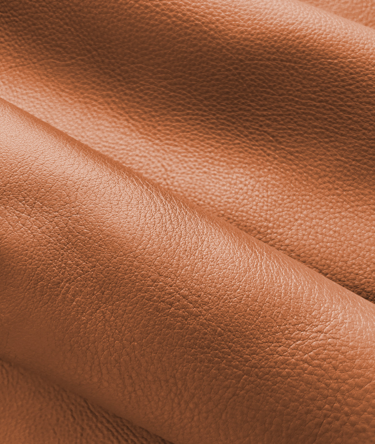 Oak Tan Natural Pebble – American Breed Skin Leather